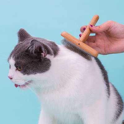 Pet hair product dog hair cat bamboo wooden handle pet brush for trimmer dog grooming  massage brush