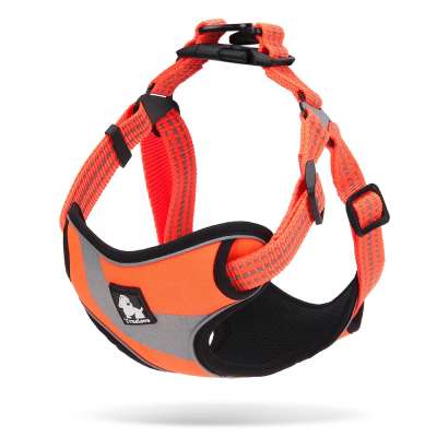 Personalise adjustable easy walk no pull lightweight nylon reflective small dog harness